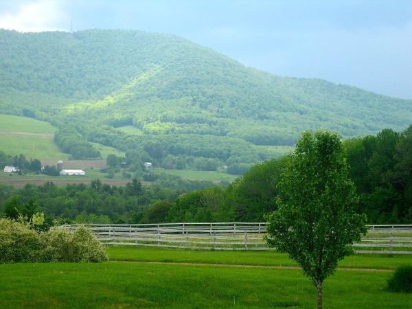 Willowview Hill Farm Dressage