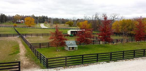 Meadow Brook Stables