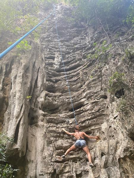 Healthy Lifestyle Coaching & Counseling