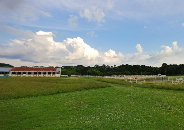 Pine Lane Farms