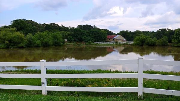 Pine Lane Farms