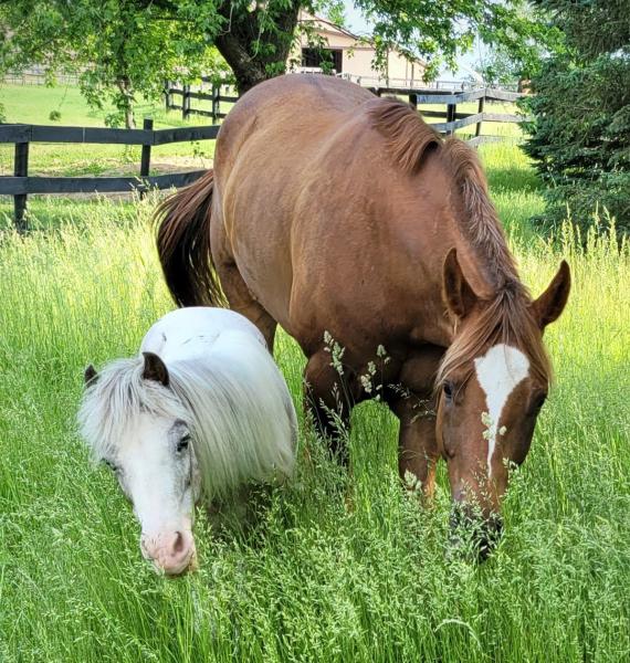 Oakwood Acres Farm