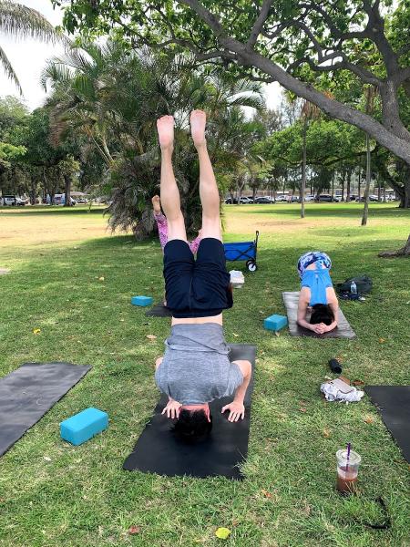 Yoga Under the Palms Waikiki