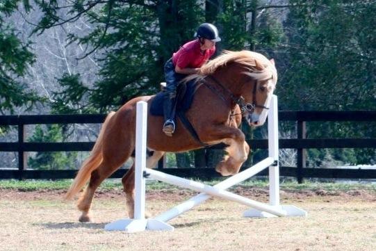 Cherokee Hill Farm