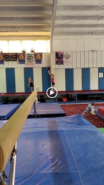 MV Gymnastics