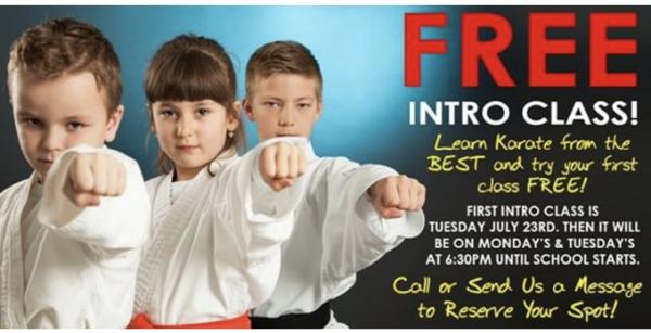 Paks Karate Texas