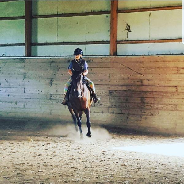 Dream Maker Ranch: Owasso's Premier Equine Facilty