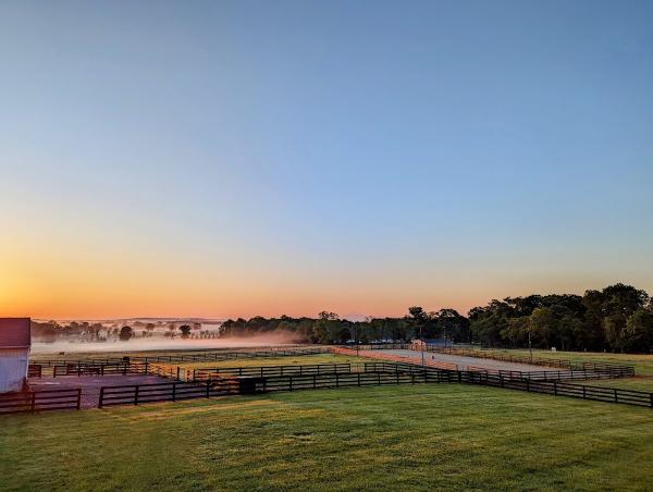 Misty Hills Stable