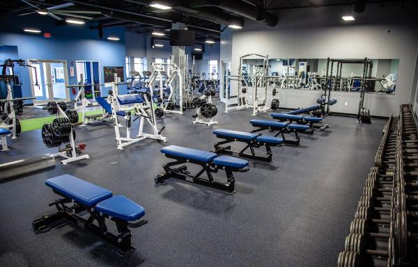 Synergy Fitness