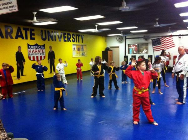 The Karate University