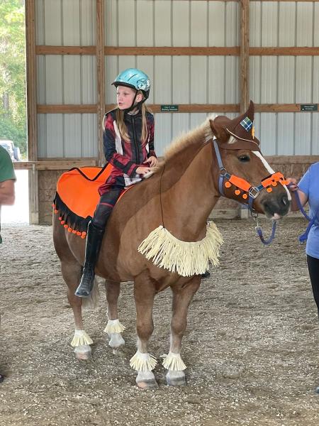 Coastal Therapeutic Riding Program (Ctrp)