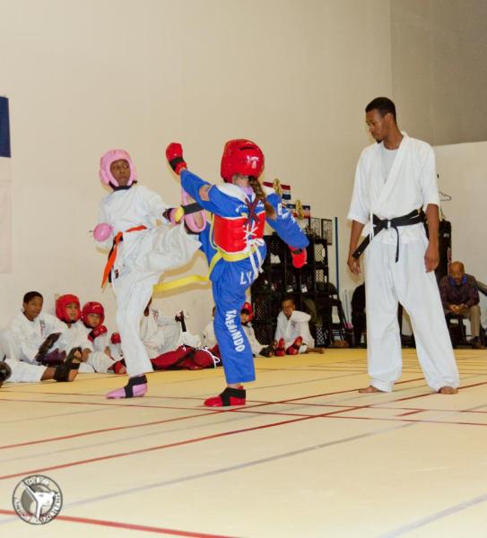 Taekwondo Athletes Program Coaching and Training USA