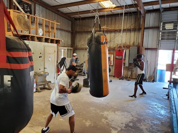 Sarasota Boxing Club