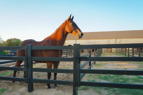 The Olana Equestrian Center