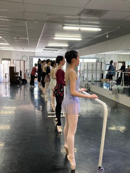 Terpsichora Ballet School (Tbs)