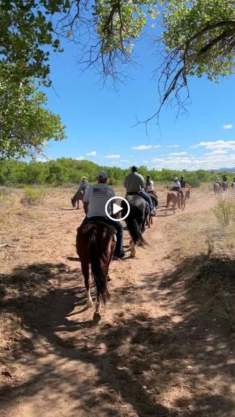 The Stables at Tamaya