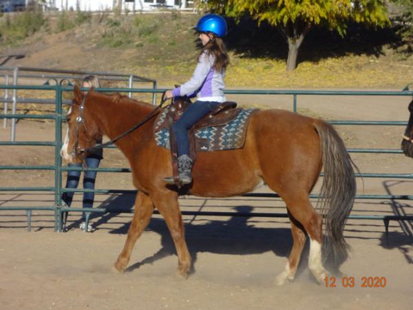 Collins Horse Ranch