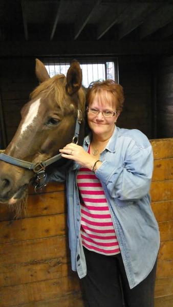 Dawn Gilbert Show Horses