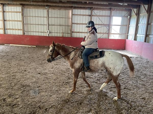 Newport Equestrian Academy