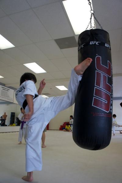 U.S. Shidokan Karate