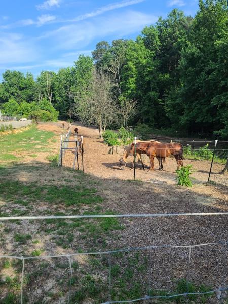 Silvercrown Farms