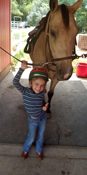Spirit Stables Horse Healing Inc.