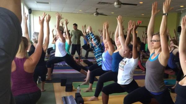 The Yoga Garden Narberth