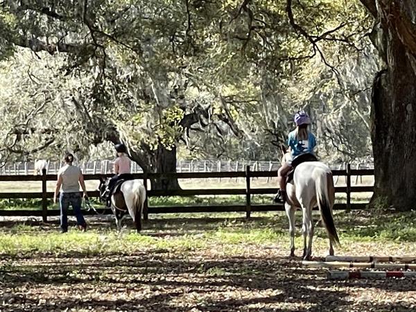 Black Grove Stables