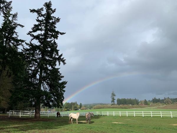 Wilsonville Equestrian Center