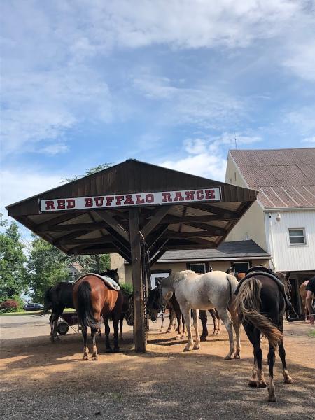 Red Buffalo Ranch