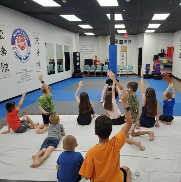 North Peoria Karate Academy