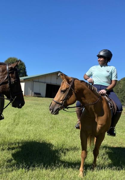 Somerset Stables