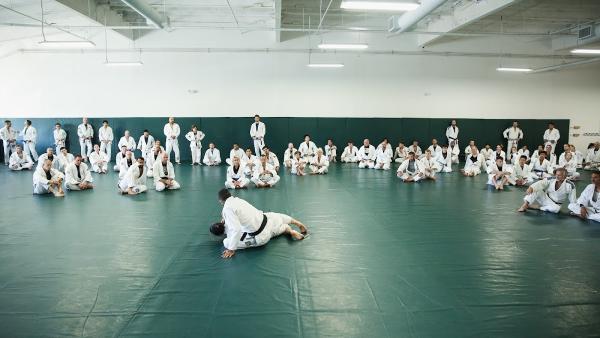 Gracie University of Jiu-Jitsu