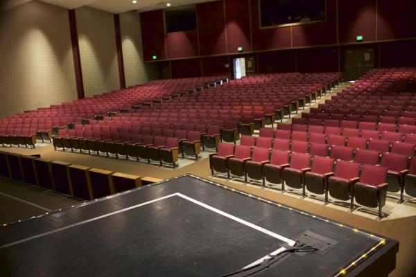 Young People's Theatre Company