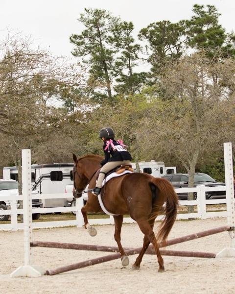 Black Horse Stables