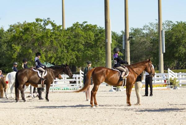 Black Horse Stables