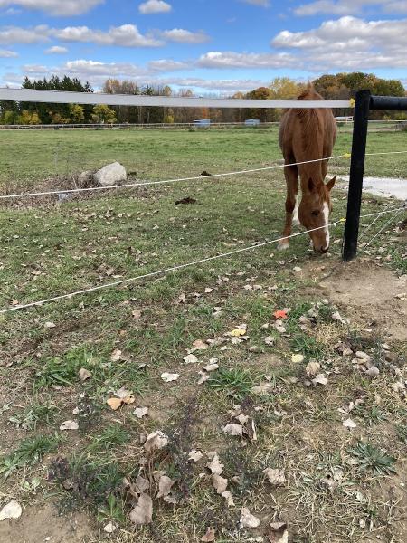 Day Acres Farm