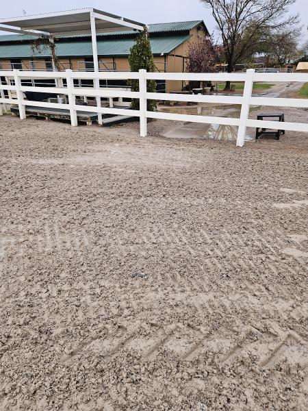 Willow Pines Equestrian Centre