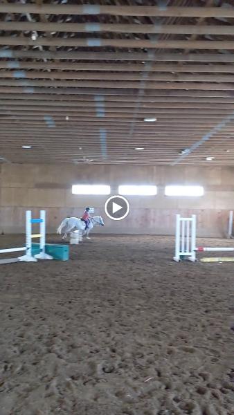 Wolf Creek Stables