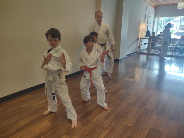 Martial Arts International Institute