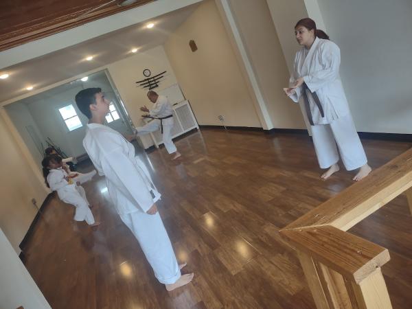 Martial Arts International Institute