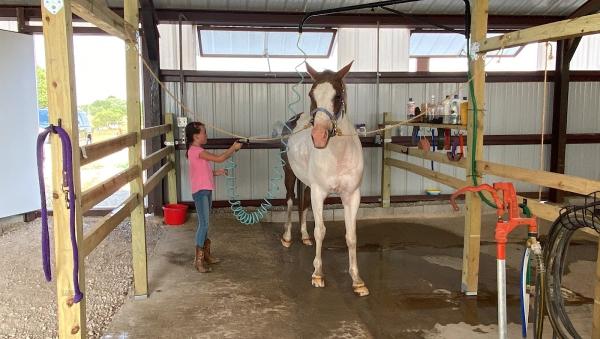 Green Valley Stables
