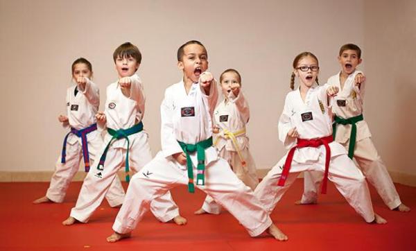 The TOP Taekwondo