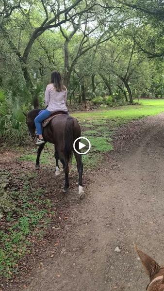 Redland Riding Academy