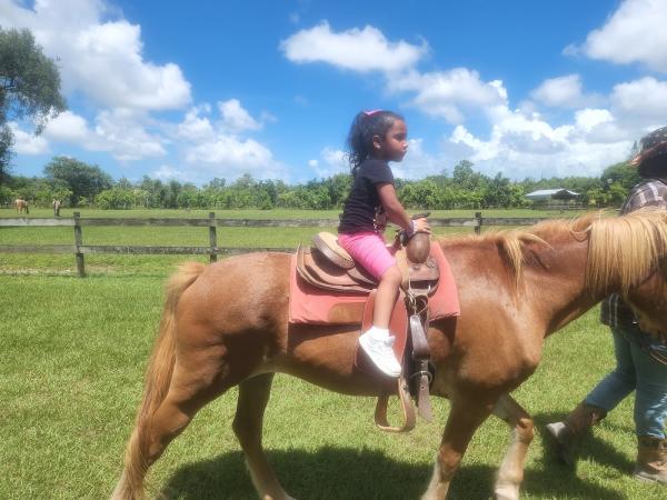 Redland Riding Academy
