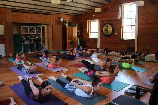 Heartwood Yoga Institute and Retreat Center