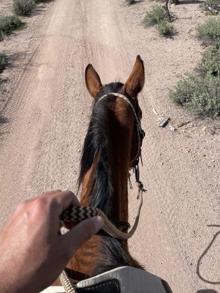 Posh Canyon Trail Rides