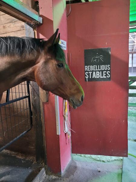 Rebellious Stables