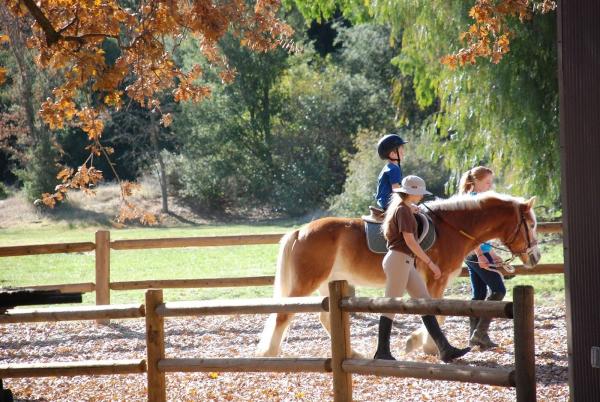 Ride On Therapeutic Horsemanship