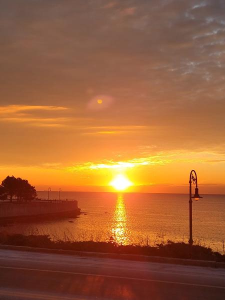 A Thousand Cranes Studio